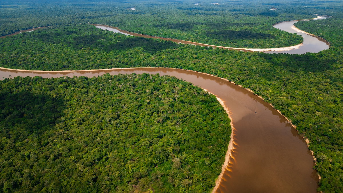 Latin America explores biocapture for residual cement emissions