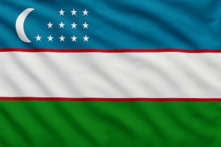 Uzbekistan govt plans sale of state-owned plant