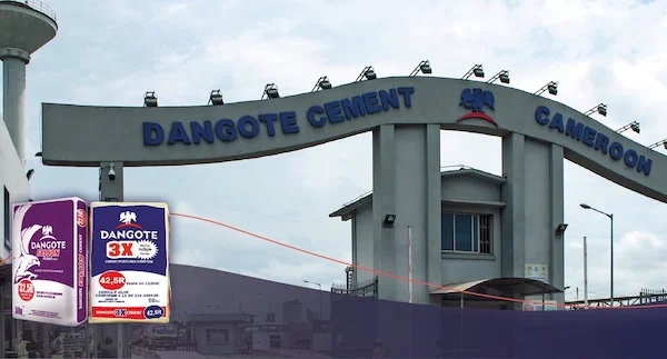Dangote Cement Cameroon sales decline as expansion plans await detail