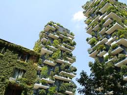 CLEAR to unify life cycle carbon emissions measurement and reporting