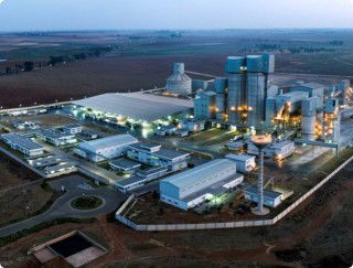 Dangote Group seals landmark US$1bn investment deal with Zimbabwe