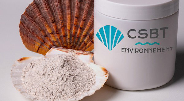 Hoffmann Green partners CSBT on scallop shell use in clinker-free cement
