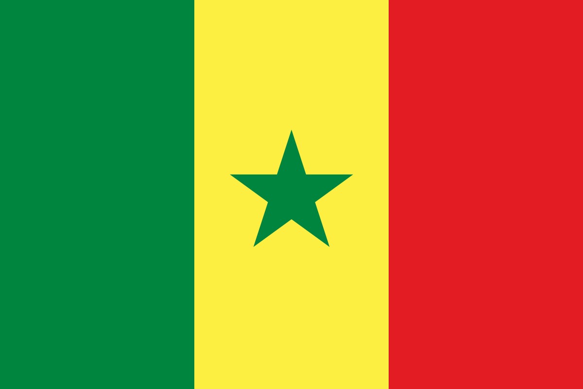 The Senegalese flag with green, yellow and red vertical stripes and a green star in the center.