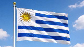 Uruguay considers public procurement support for ANCAP cement