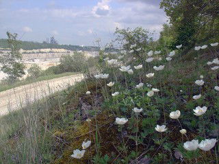 Time to de-risk CCS finance