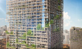 Japan aims for new heights in timber