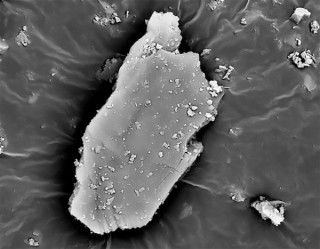 Chinese research highlights silicon carbide potential for "smart" cement
