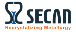 Secan Invescast India Private Limited  logo