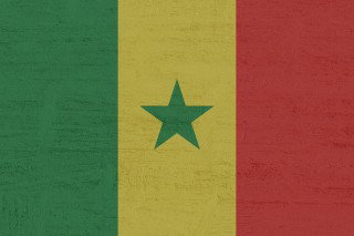 Senegal’s producers benefit from export surge and domestic market growth
