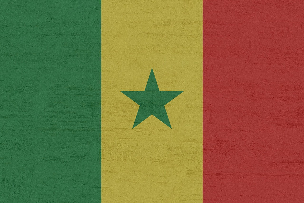 Senegal’s producers benefit from export surge and domestic market growth